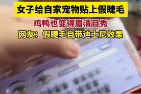 女子给自家宠物贴上假睫毛，鸡鸭也变得眉清目秀，网友：假睫毛自带迪士尼效果图片