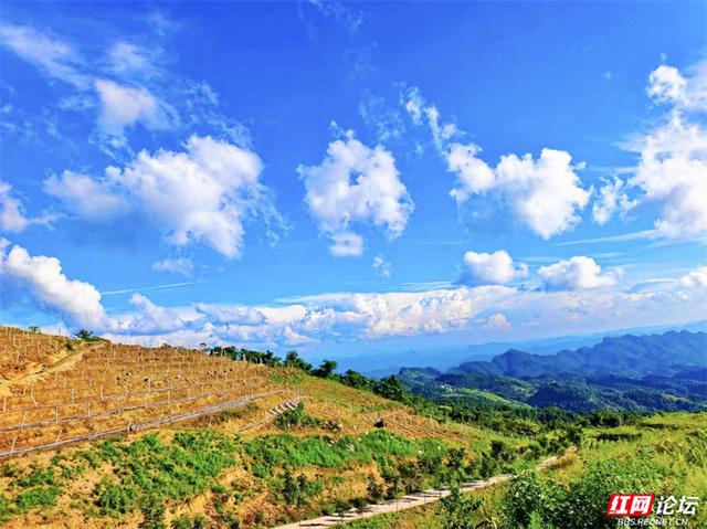 欢庆时刻丨闯入山水画卷，桑植梯田的四季之美