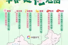 缤纷花事登场！2025全国早春赏花地图来了 一起解锁春日限定浪漫图片