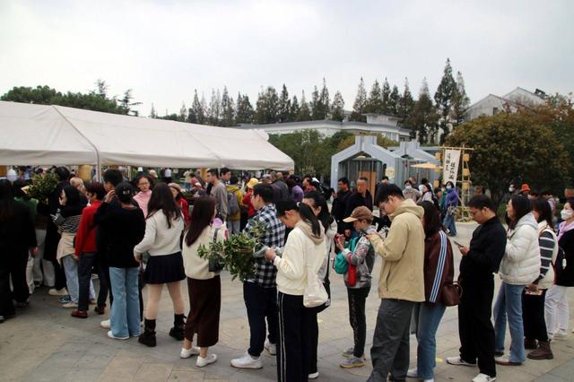 江苏苏州：桂花市集人气足