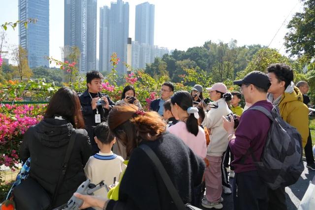 未来一个月，深圳人都往洪湖公园跑！