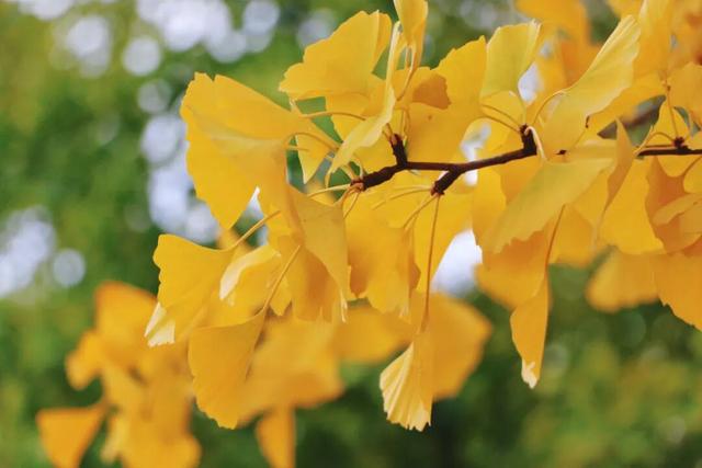 日照街道的这些地方！美极了！