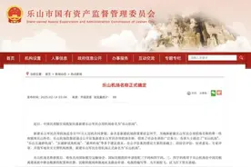 官宣！四川将再添一座机场图片