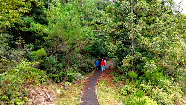 免费开放！闽清秋日生态游绝佳打卡地→