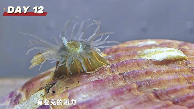 现在流行去盒马鲜生赶海？