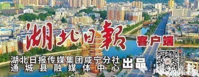 通城：高山帐篷露营点亮夏日“凉经济”