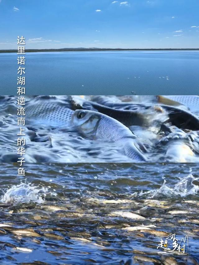 10月秋景顶流旅游地，摄影师盛赞的“北疆一绝”，7日换7色。看纪录片《西拉沐沦》赏赤峰秋色