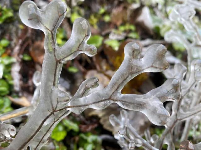 区县头条｜看！武陵山现冰挂美景