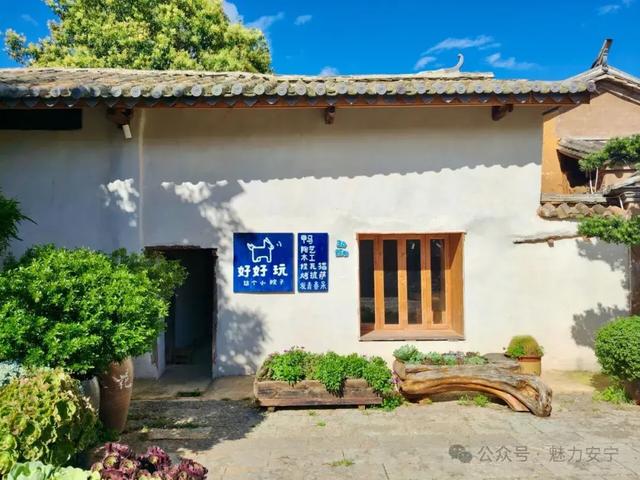 来安宁雁塔村,赏花巷、捏瓦猫!