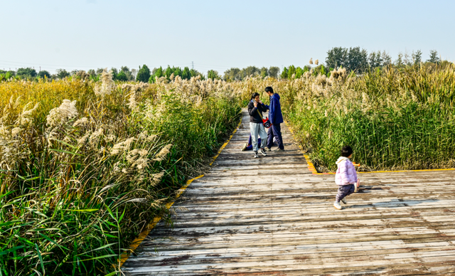 开放啦！副中心醉美秋色等您入画~