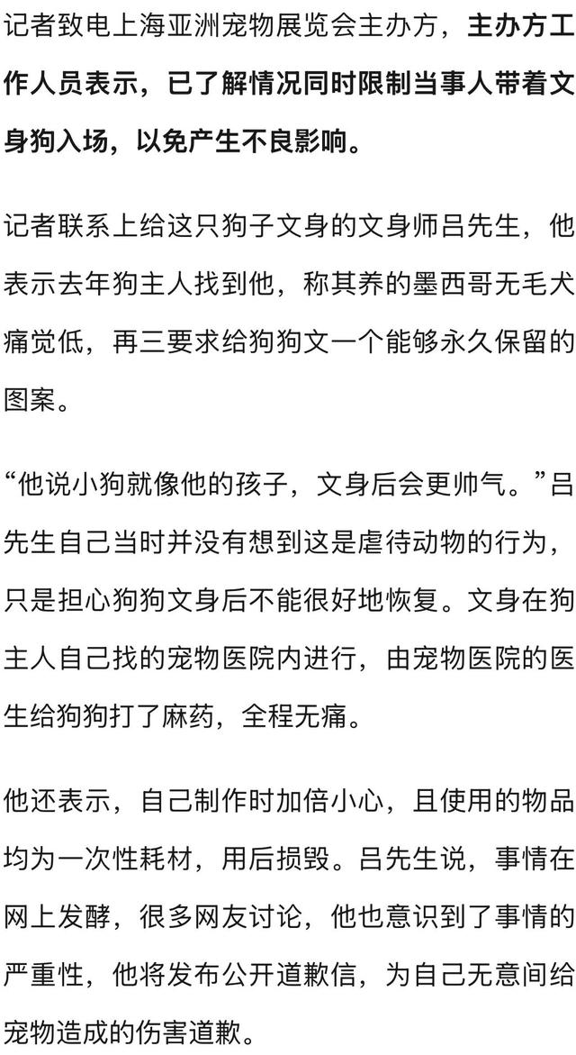 上海亚宠展惊现“左青龙右白虎”文身犬，还戴着金链子！主办方：已限制该犬主人入场