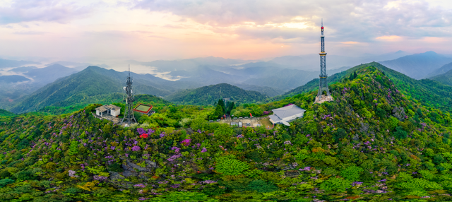 这个周末，来赣州一起“森”呼吸！