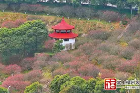 又一“网红打卡点”！福州人，春节假期快来！图片