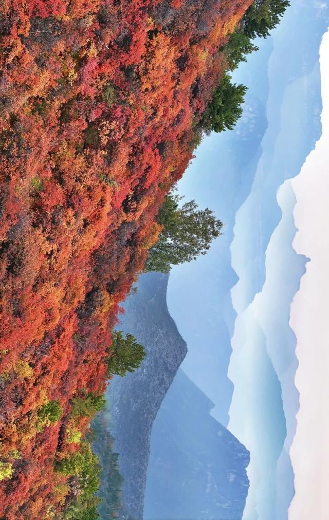 河南秋景大片，来了！