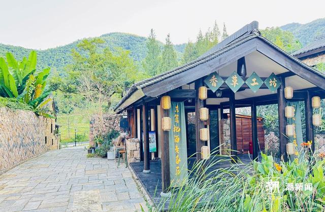湖州乡野，流连忘返