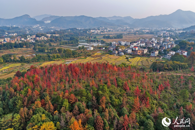 江西南康：乡村冬景宜人