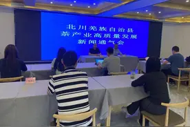 四川北川：擦亮“苔子茶”名片 推动“茶产业”高质量发展图片