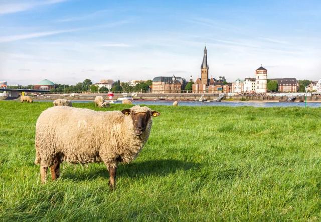 最懂中国人的德国小城，没有人能饿着离开
