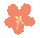 大邑这里紫薇花绽放，错过等一年