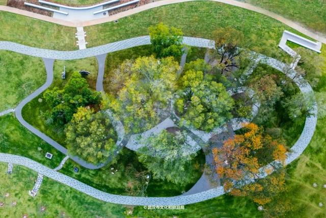 武汉为百年古树建公园，免费开放！