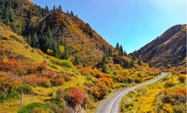 甘肃张掖：秋日祁连山风景如画 雪山金草绘就壮美诗篇
