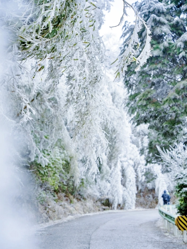 多地下雪！广西限定版“冰雪世界”已上线