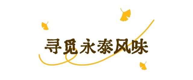 现存数量最多！赏银杏就来珠峰村