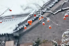 128年来最早！就在今天图片
