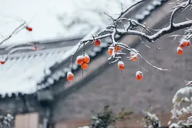 第一个带“雪”的节气到了！你们那里下雪了吗？图片