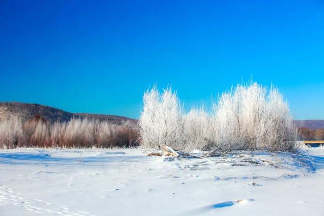 冰雪呼中，是我带不走的眷恋