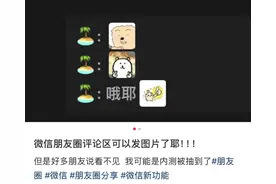 微信又有新功能！网友：终于可以了图片