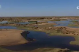 黄土高原林草植被覆盖度达59%以上 蓄水保土能力显著增强图片