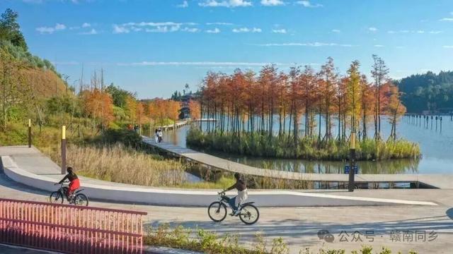 这个周末，来赣州一起“森”呼吸！