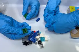 广州海关查获“夹缝中的种子”图片