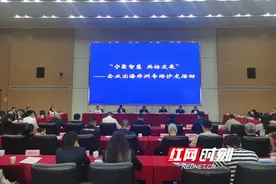 走，到非洲去！“宁”聚智慧助力企业出海“乘风破浪”图片