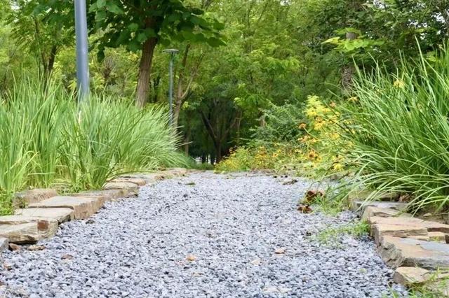 17万平方米绿廊上线！就在——