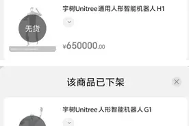 首发即下架！客服：就上架了一台图片