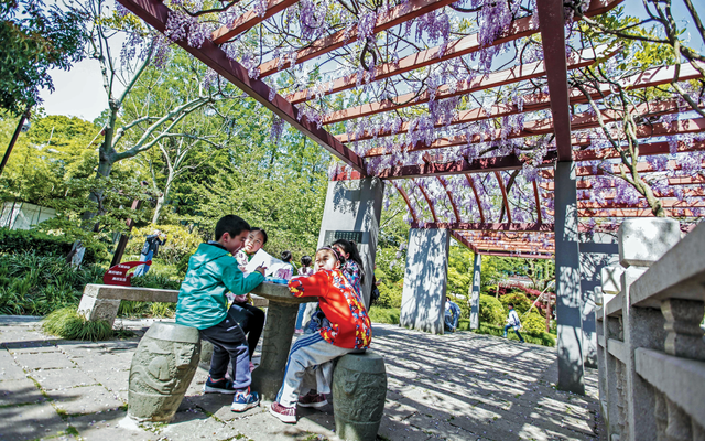 古藤园曾经竟是一片热闹的集镇？丨闵行情