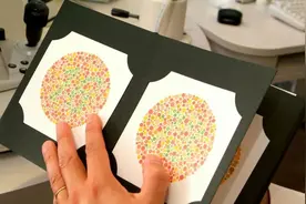 大一新生入学体检不合格被退档，责任谁来担？图片