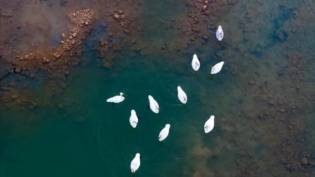 秋景大片都没看，洛阳的秋天，这就结束了？