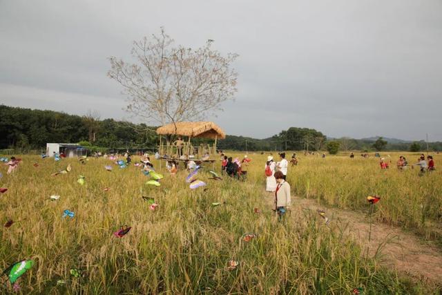 多图+视频！一起回看2025年白沙“啦奥门”雨林与您山兰文化活动精彩瞬间