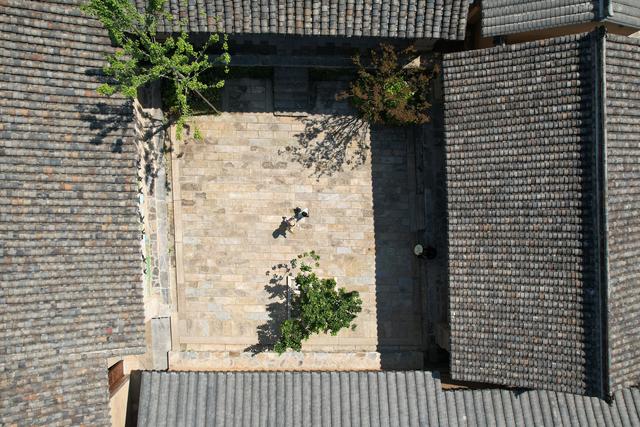 新华全媒＋｜嘉陵江畔千年银杏唤醒古村文旅新篇