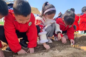 东营市东营区文汇街道中心幼儿园开展郁金香种植活动图片