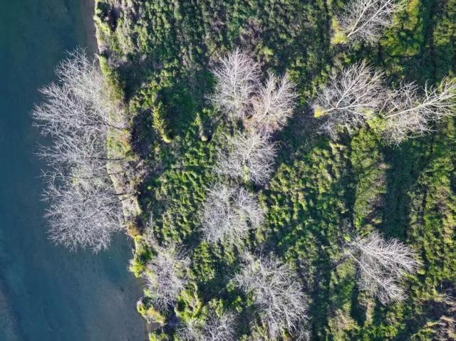 初冬，来大龙开发区遇见“限定暖阳”