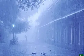 大雨、暴雨、大暴雨！马上杀到杭州！持续10天……图片