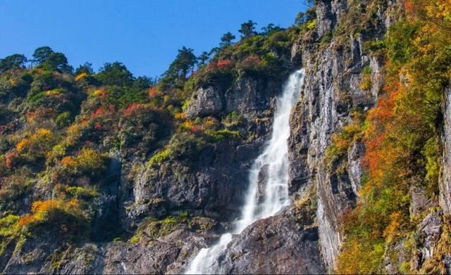突破百万！瓦屋山【百万锦鲤】宠粉福利，11月30日揭晓这份专属幸运～