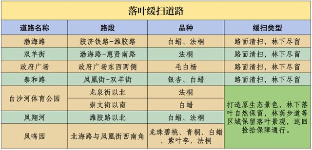 坊子区7处“落叶缓扫”超出片，快来打卡~