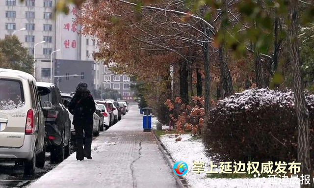 延边下雪了！冰雪仙境等你来