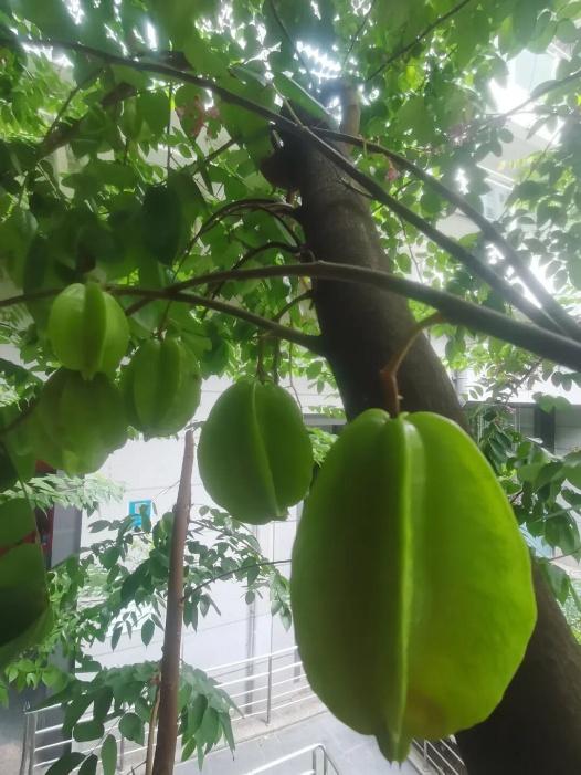 趁秋色浪漫，见一面吧