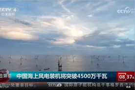 中国海上风电装机容量领跑全球 今年有望突破4500万千瓦图片